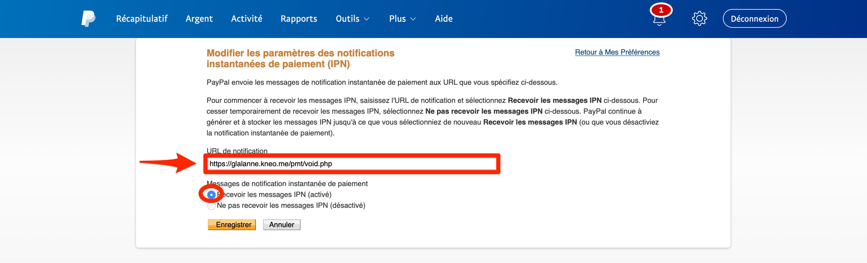 Comment activer l’IPN sur votre compte PayPal Image-4