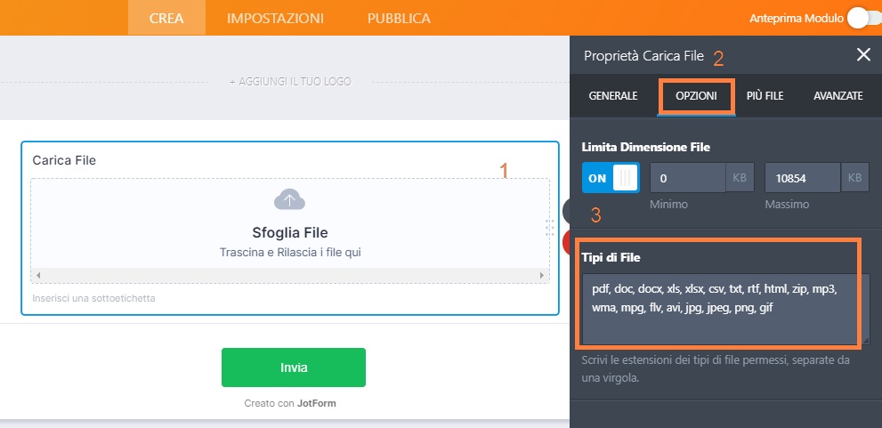 Come Modificare i Tipi di File Consentiti nel Campo di Caricamento Image-1