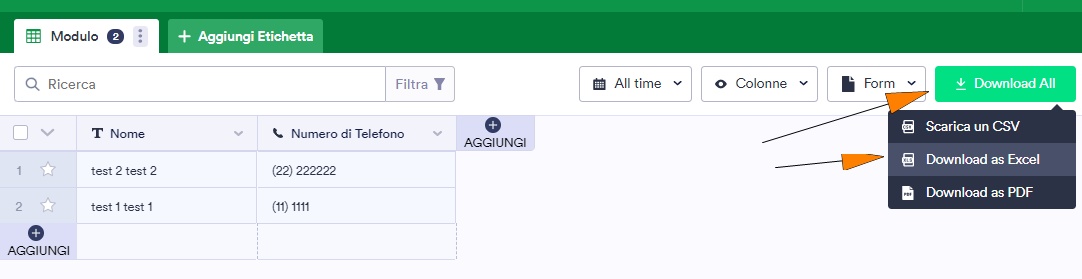 Come Scaricare gli Invii dei Moduli come Excel / CSV / PDF Image-3