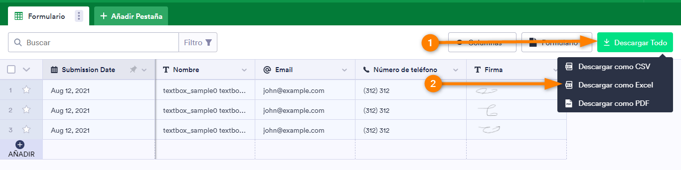 Cómo exportar datos de formularios a Excel Image-6