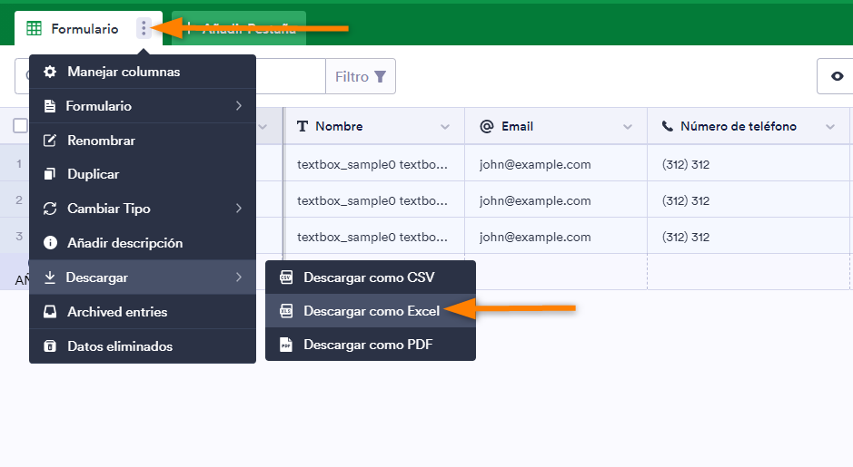 Cómo exportar datos de formularios a Excel Image-7