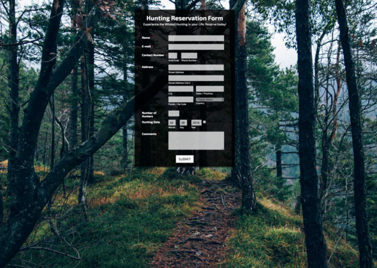 5 Powerful Tips to Take Your Online Forms to the Next Level Image-3