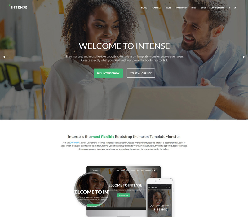 TemplateMonster Intense