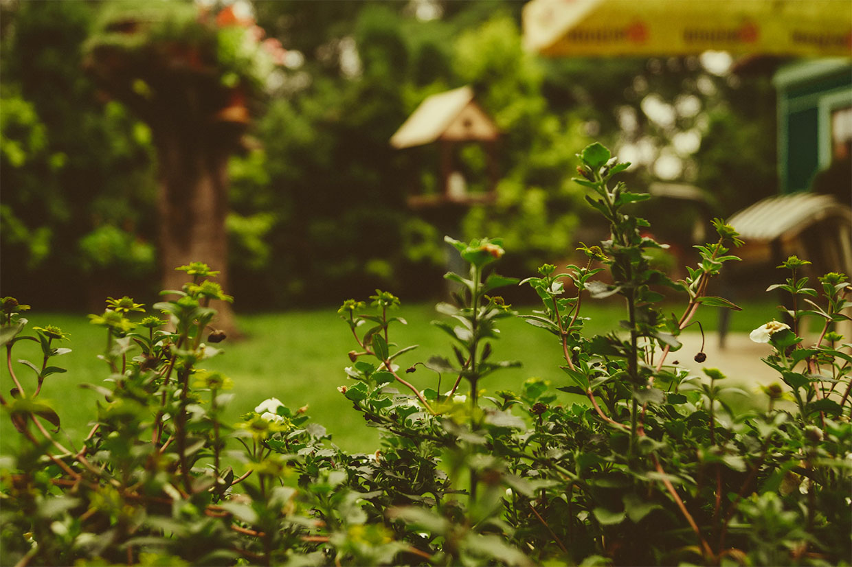 How to boost your productivity by leveraging momentum Image-1