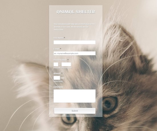 Donation form