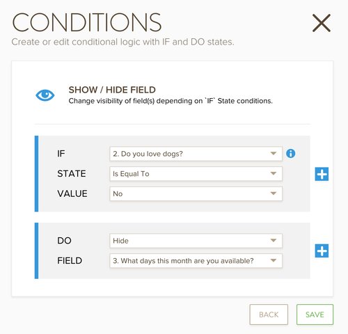 online form conditions