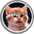 Check us out on Product Hunt
