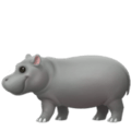 How a celebrity hippo got its name with Jotform
