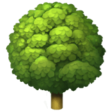 How The Arbor Day Foundation scales its mission with Jotform Enterprise