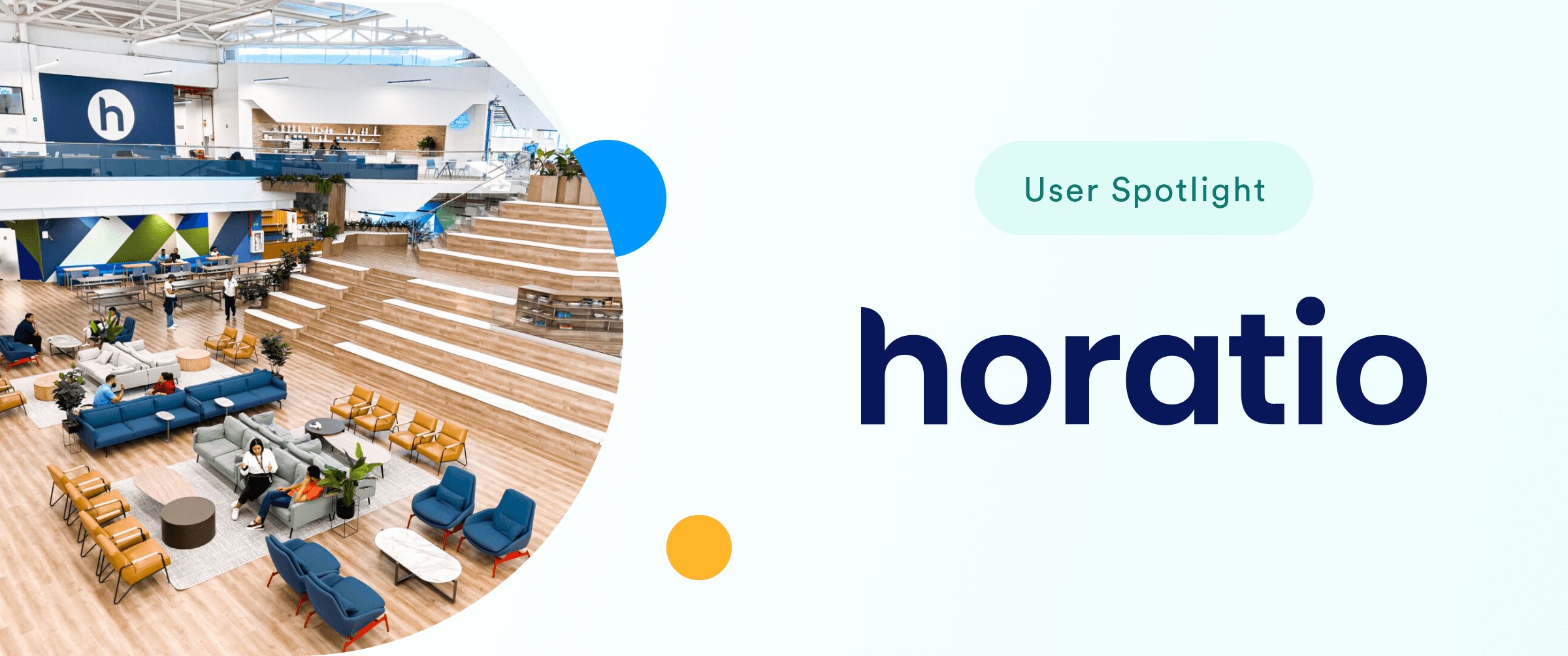 How Horatio streamlines business operations with Jotform