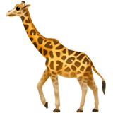 How the Santa Barbara Zoo named its new baby giraffe with Jotform
