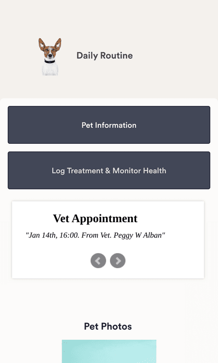Template pet-care-service-app