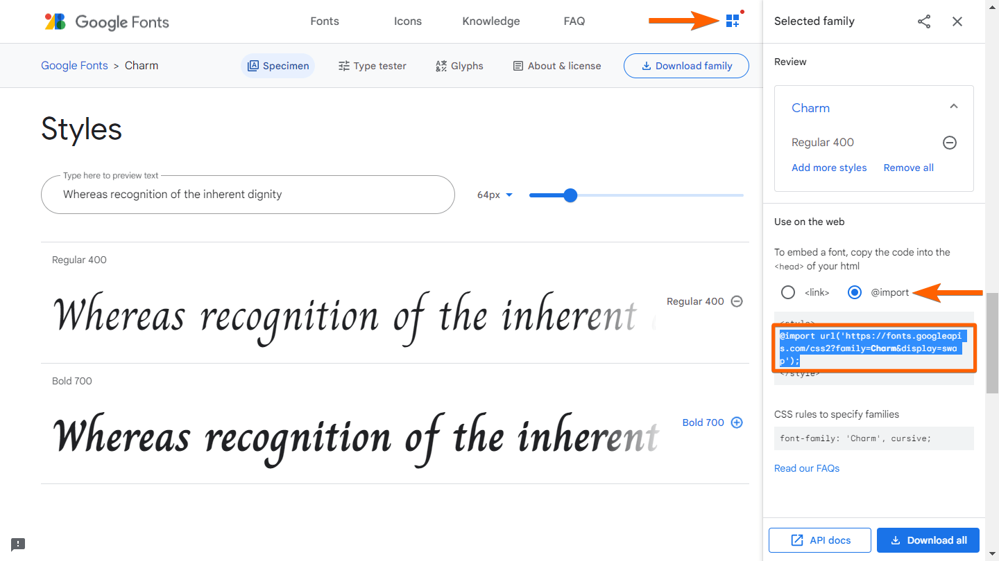 A screenshot of Google Fonts with highlights to access the import code in the Selected family pane