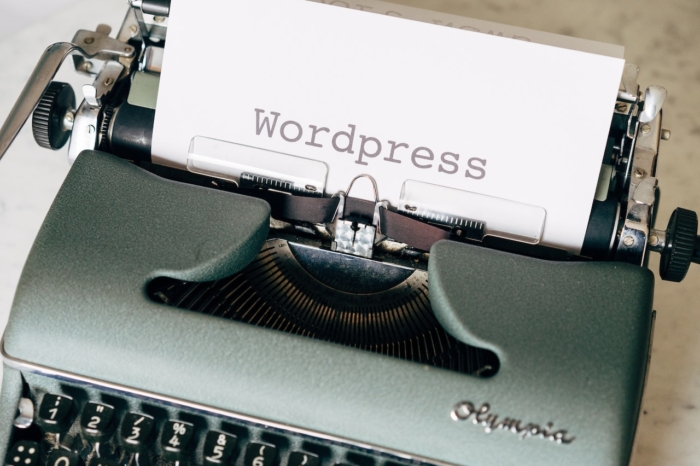 WordPress: Fancy Site Navigation With the_posts_pagination()