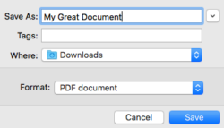 Name PDF file and save