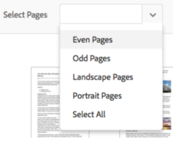 Adobe Deletion Option 2