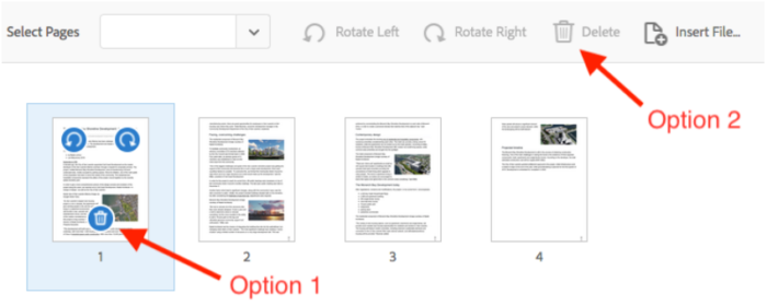 Adobe, option 1 and 2