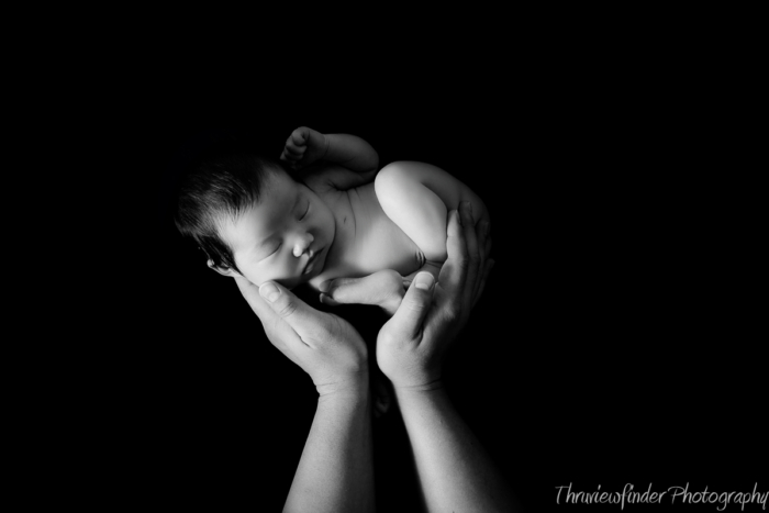 How to make an airtight photo session agreement form Image-3