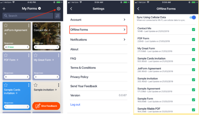 how to access offline forms