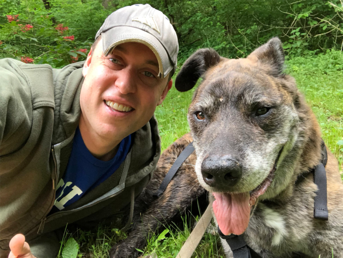 How Jotform + Slack gives a big dog bed maker a leg up Image-1