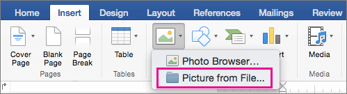 Screenshot from Microsoft Word showing how to add an e-signature in Word using the picture method on a Mac