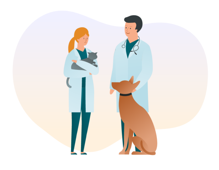 Two local veterinarians are doing health checks of animals