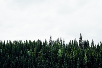 Get outside: how nature can boost your health & creativity