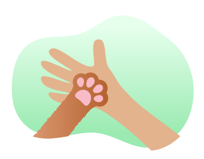 How to find volunteers for animal shelter-rescues Image-1
