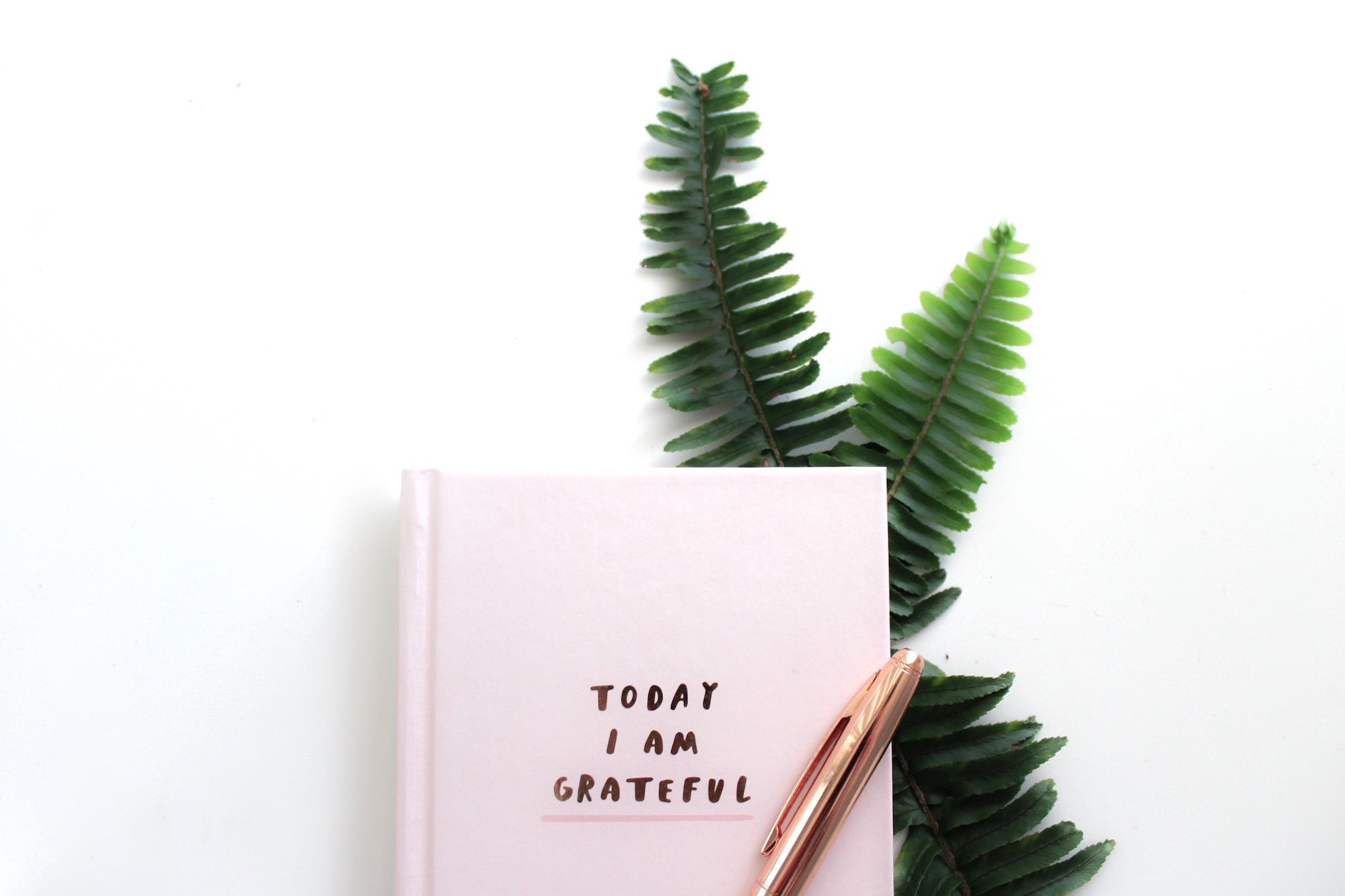 gratitude