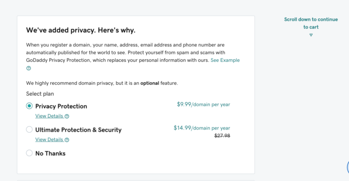 GoDaddy's privacy plan
