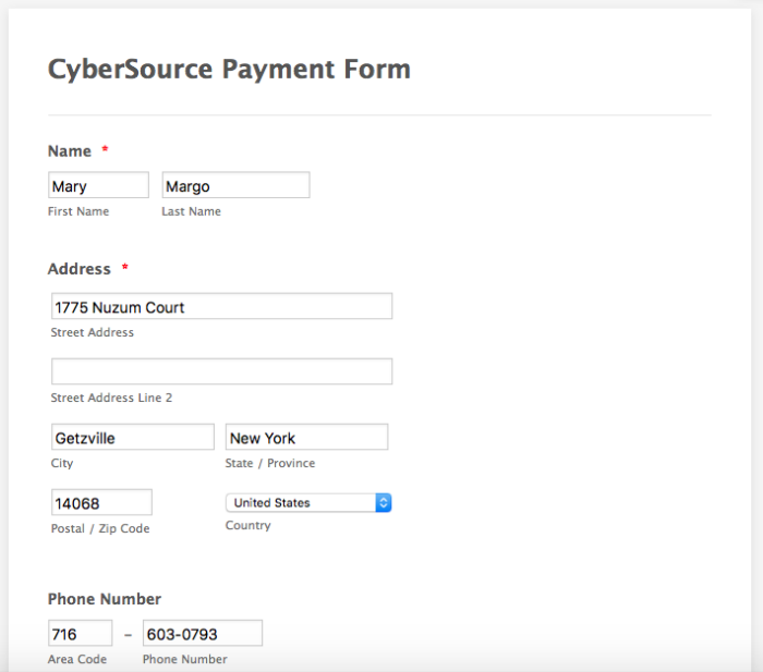 CyberSource Payment Form