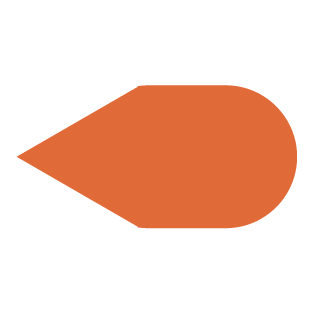 An oval-esque shape with a traingle pointing left on the left side
