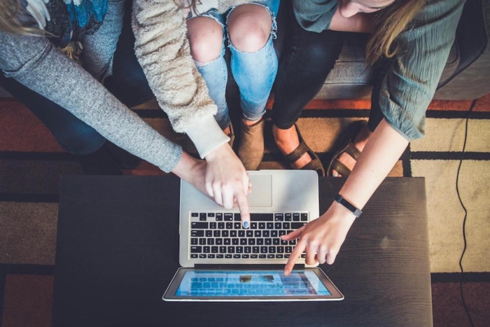 Free or premium: Which website theme to choose