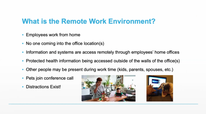 The Remote Work Environment Image-1