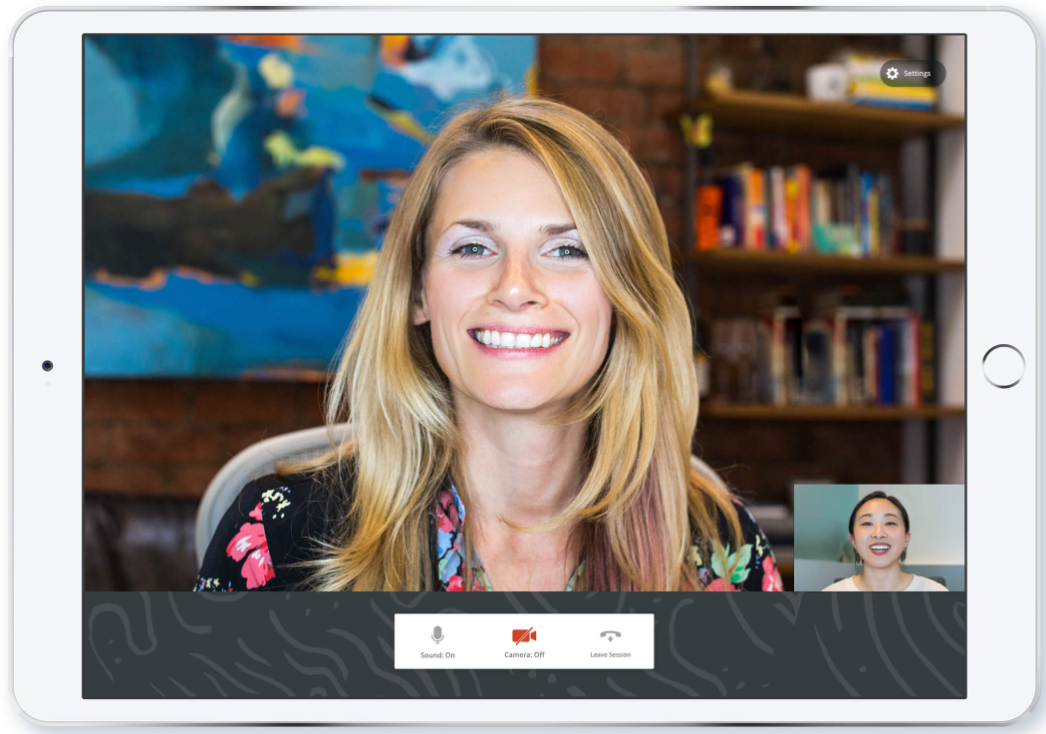 SimplePractice Users on Online Call