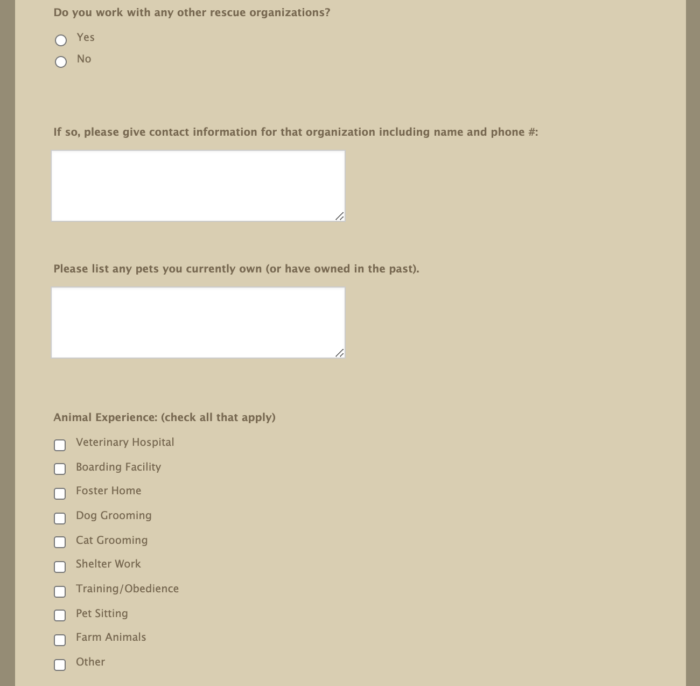 Volunteer Opportunities Example
