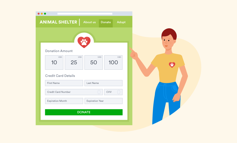 Payment form for online donations in the animal shelter website