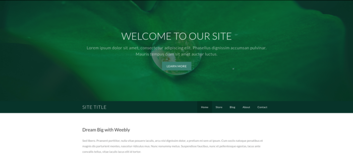 5 of the best free Weebly templates for e-commerce websites Image-2