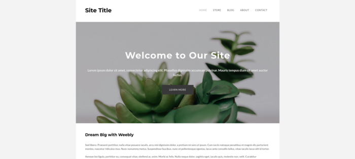 5 of the best free Weebly templates for e-commerce websites Image-4