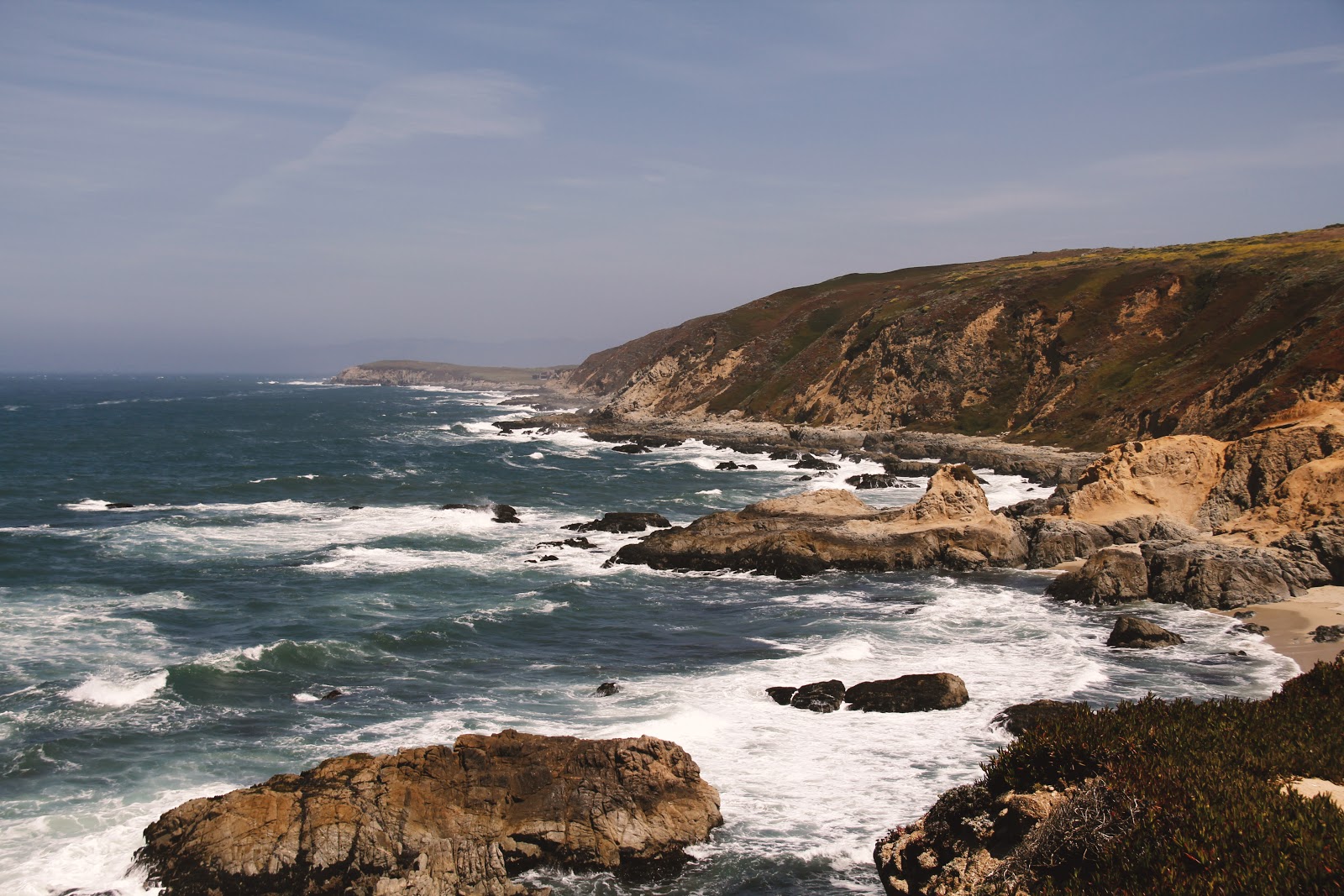 How the County of Marin uses Jotform Enterprise to help residents during COVID-19 Image-1