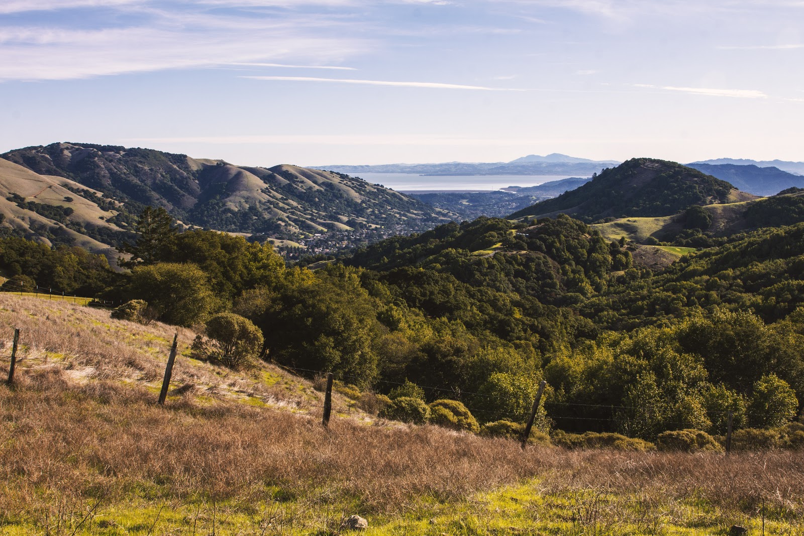 How the County of Marin uses Jotform Enterprise to help residents during COVID-19 Image-2
