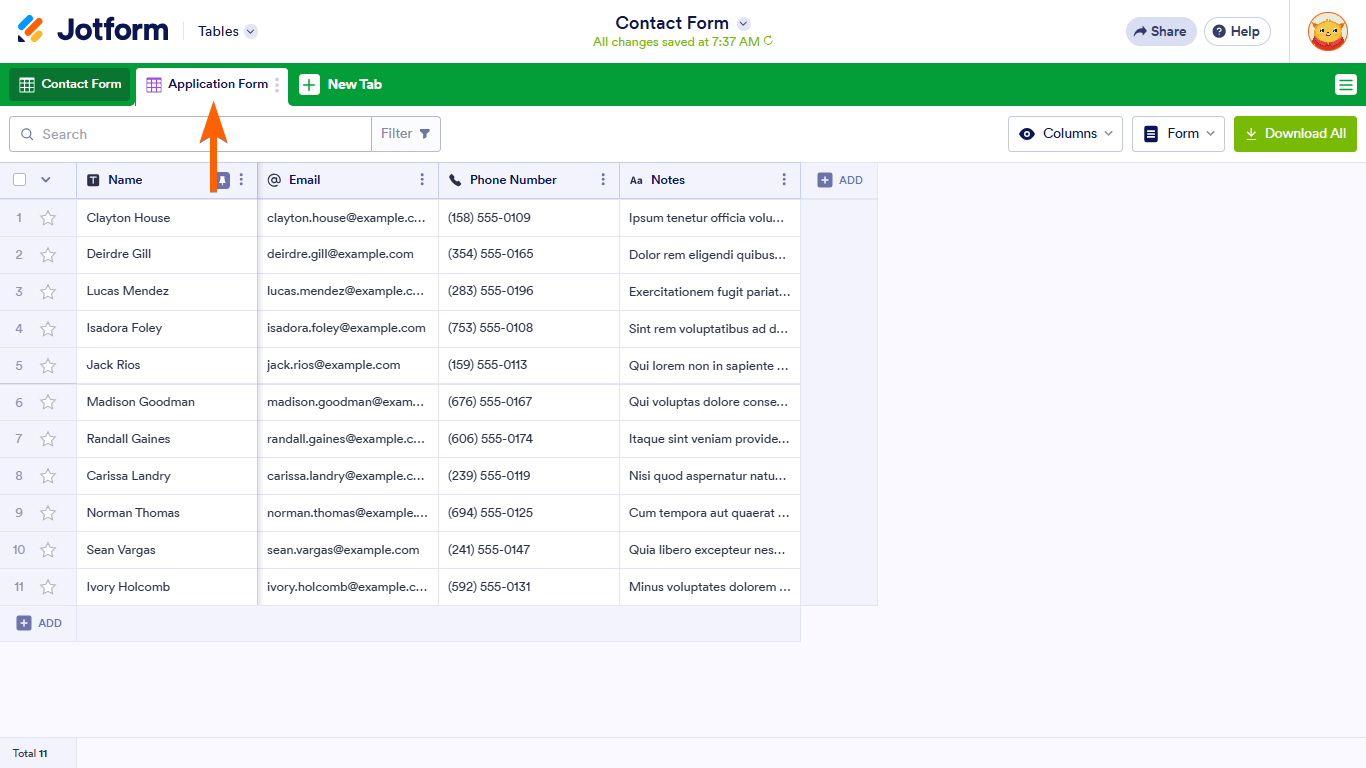An Application Form Tab in Jotform Tables
