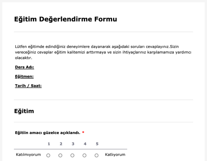 Jotform anketlerine örnekler Image-5