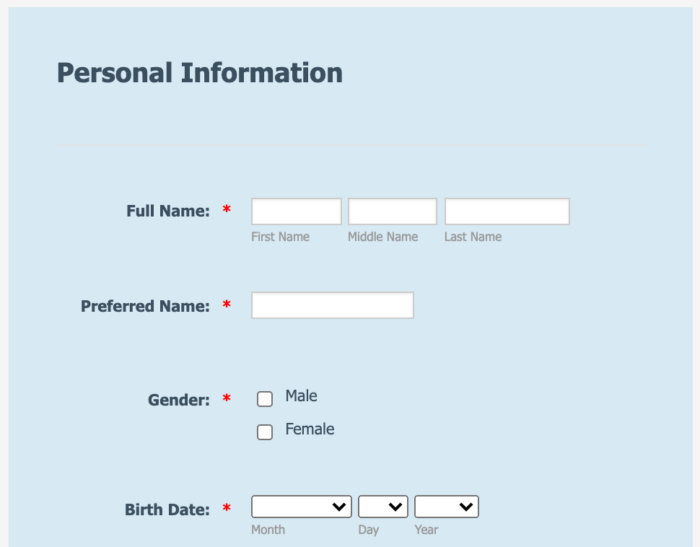 online internship application form
