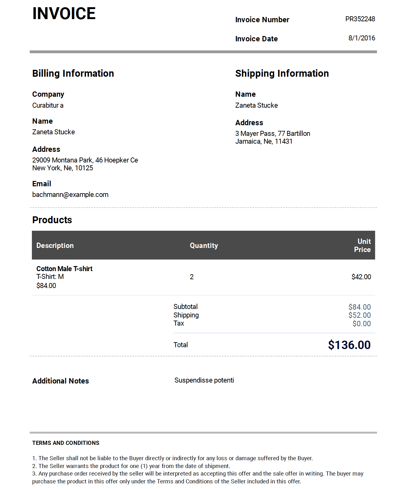 Professional Invoice Template