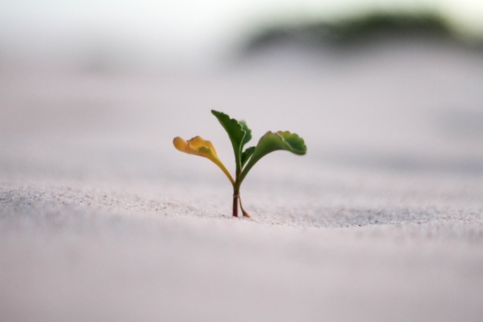 How to Turn Your Negative Emotions into Positive Outcomes