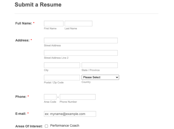 How to Make a Standout Resume Submission Form Image-1