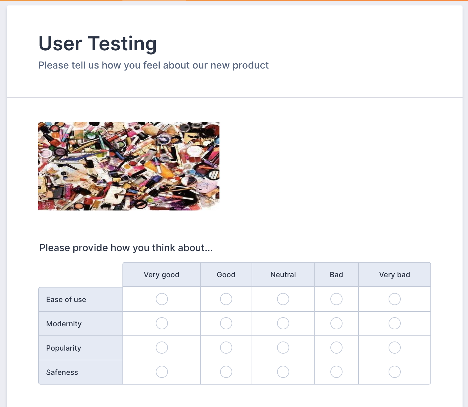 User Testing Survey