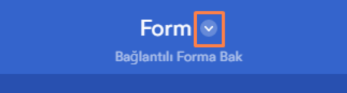 PDF Düzenleyici ile PDF Belgesine Özel İsim Atama Image-2