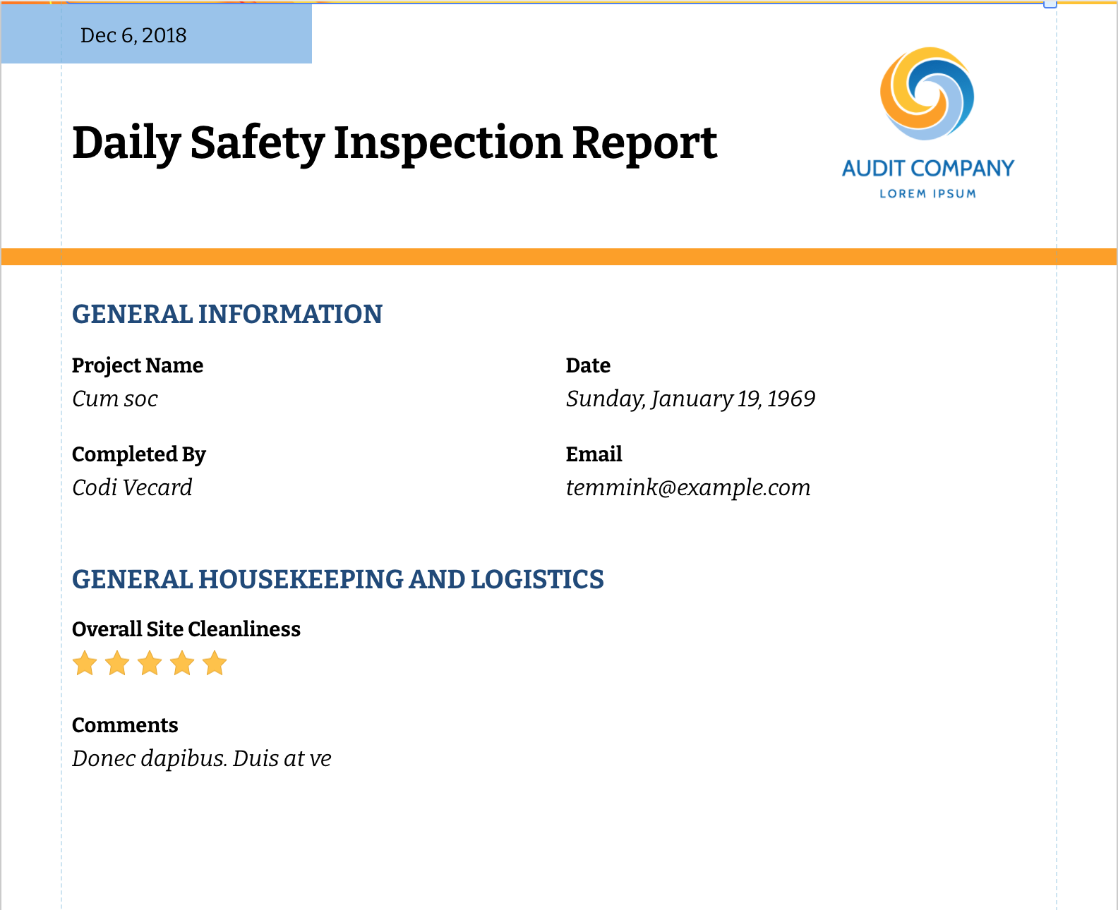 Daily Safety Inspection Report